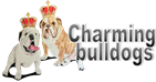 charmingbulldogs.com